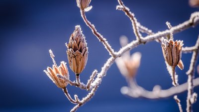 Barcelona 4 Dias: Roteiro Perfeito para Ver a Essência da Cidade