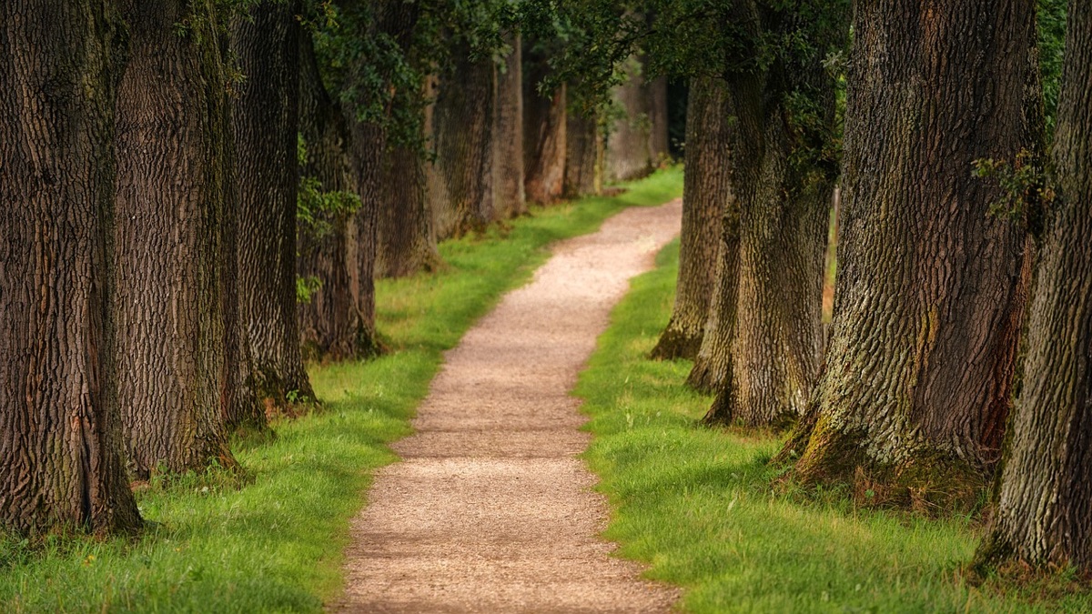Pavés de sentier de monseñor