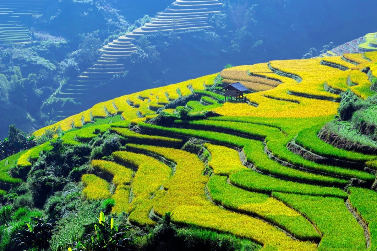 蒙特塞拉特郊外風景