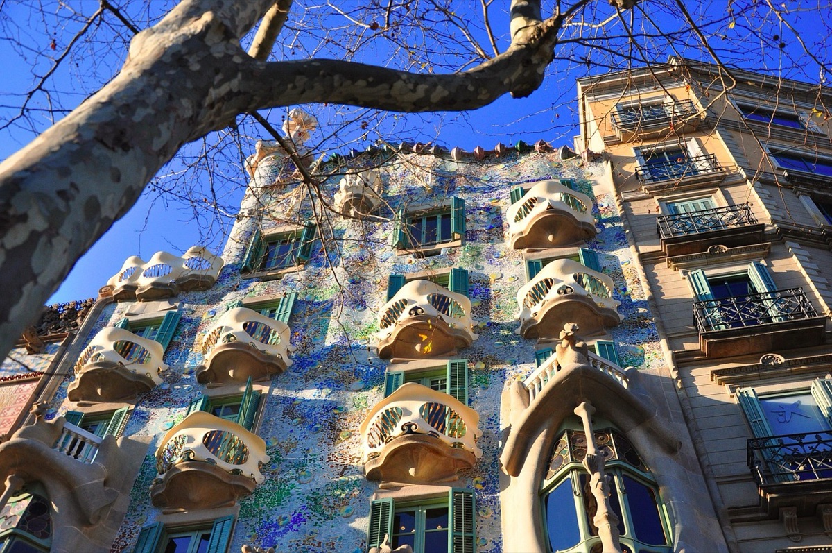 jardin de la casa mila